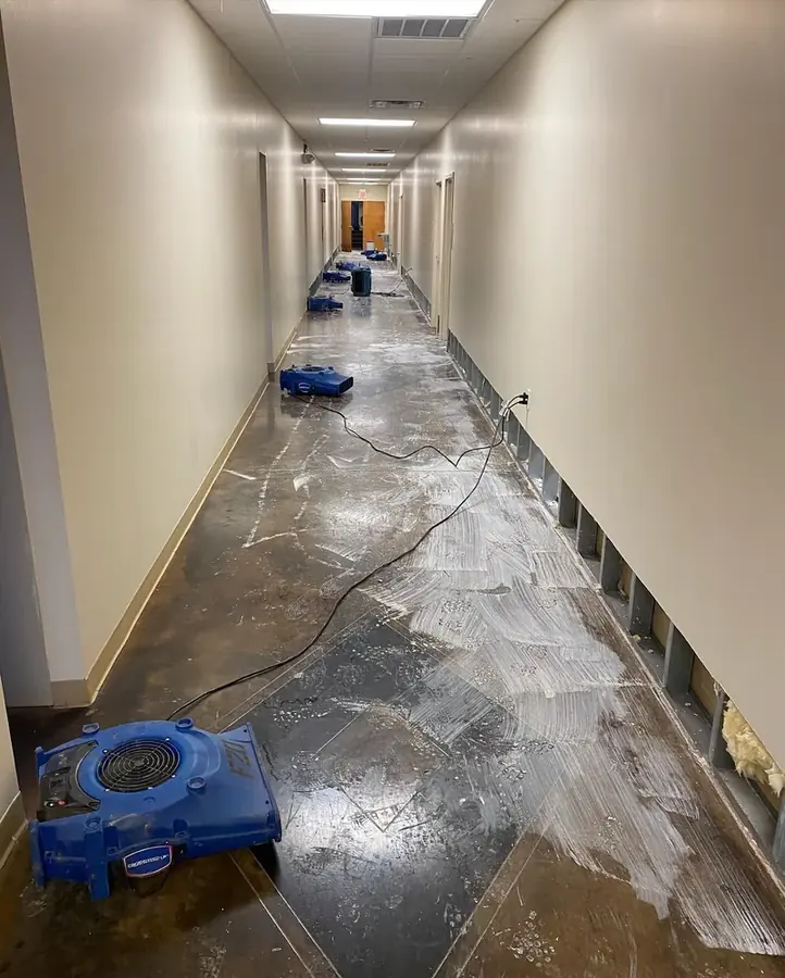 Technicians in a mold containment setup