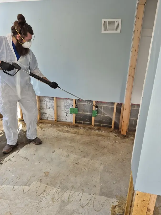 Mold Remediation service in Statham, GA